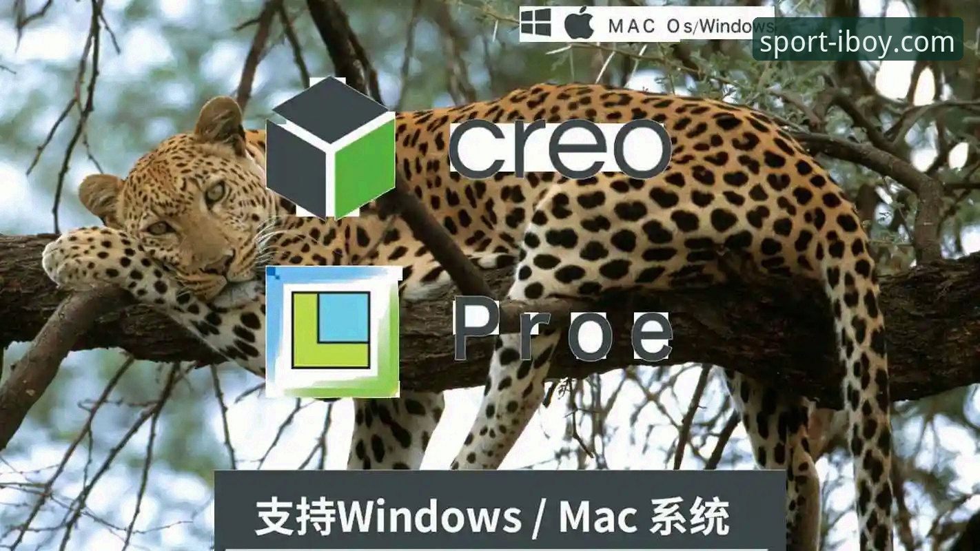 IBOY最新版本安装教程 博业体育平台最新版本安装教程:M7N2深度评测与实战指南